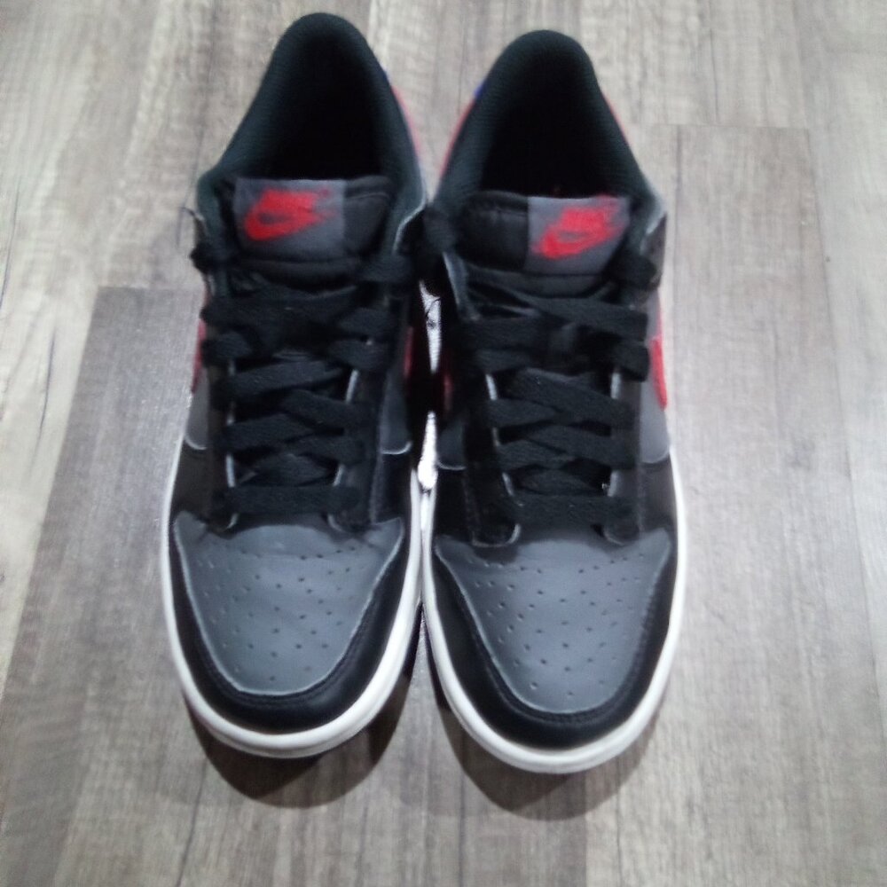 Nike dunk lows